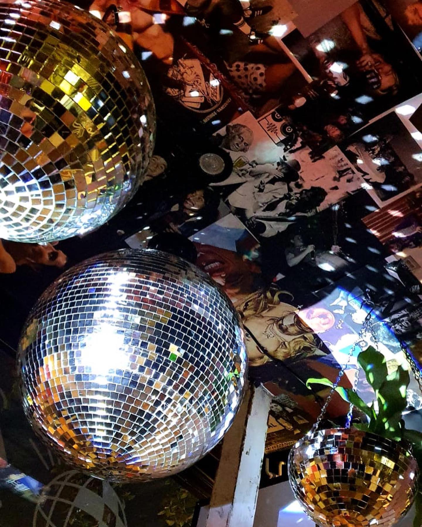 Not So Secret Garden Launch Weekend: Live music from Buffalo Brother curated by Stutter & Twitch